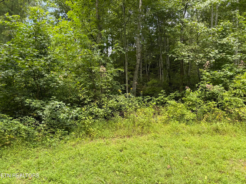 0 Coy Rhea Way Lot 3 D, Sevierville, TN 37876