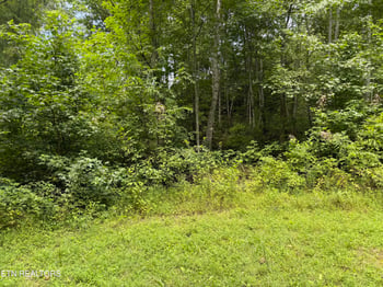 0 Coy Rhea Way Lot 3 D, Sevierville, TN 37876