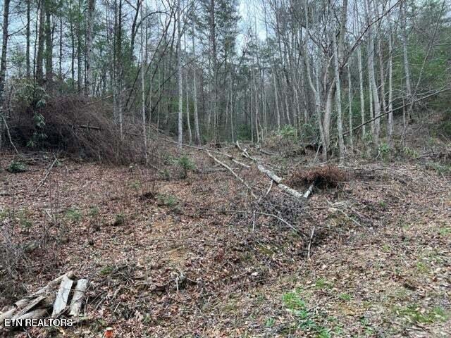 0 Coy Rhea Way Lot 3 D, Sevierville, TN 37876