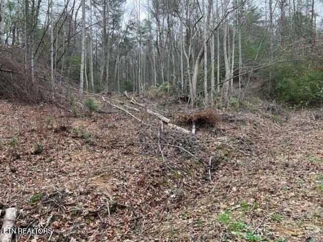 0 Coy Rhea Way Lot 3 D, Sevierville, TN 37876