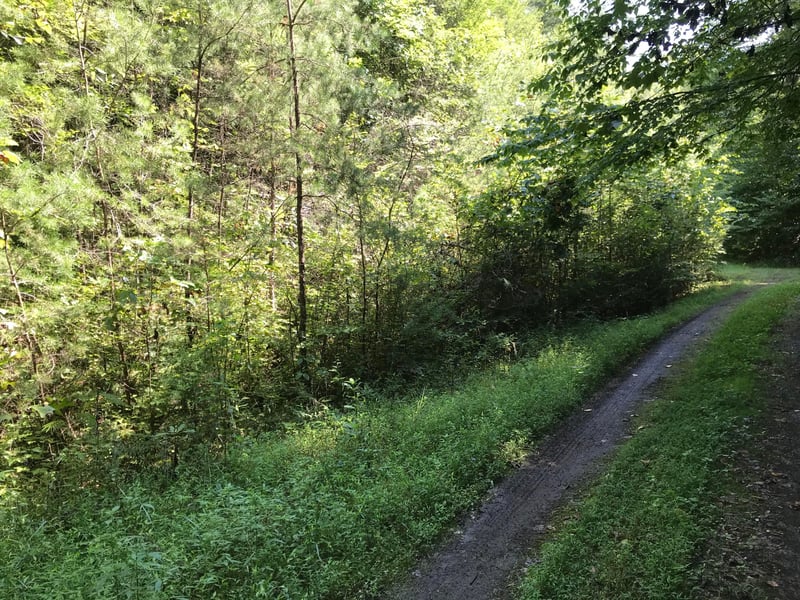 0 Coy Rhea Way, Sevierville, TN 37868