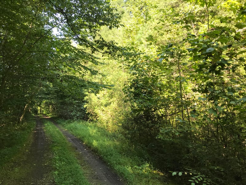 0 Coy Rhea Way, Sevierville, TN 37868