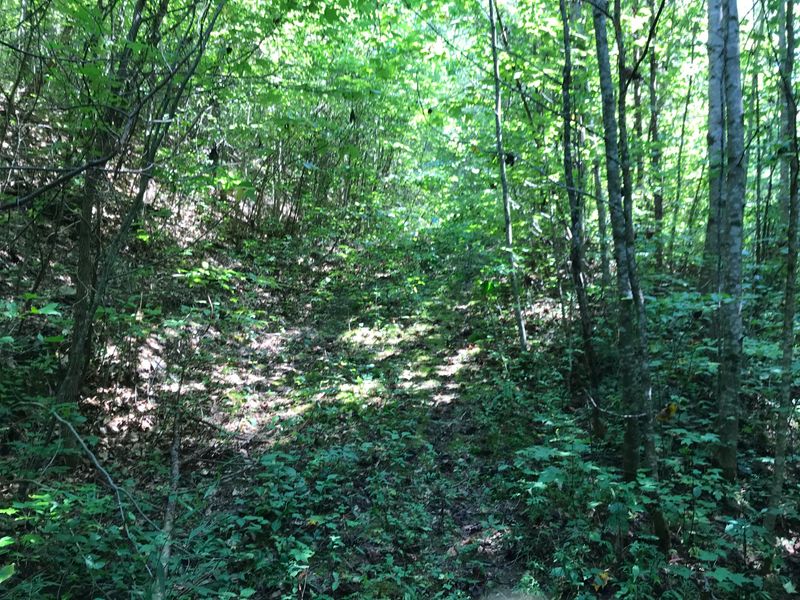 0 Coy Rhea Way, Sevierville, TN 37876