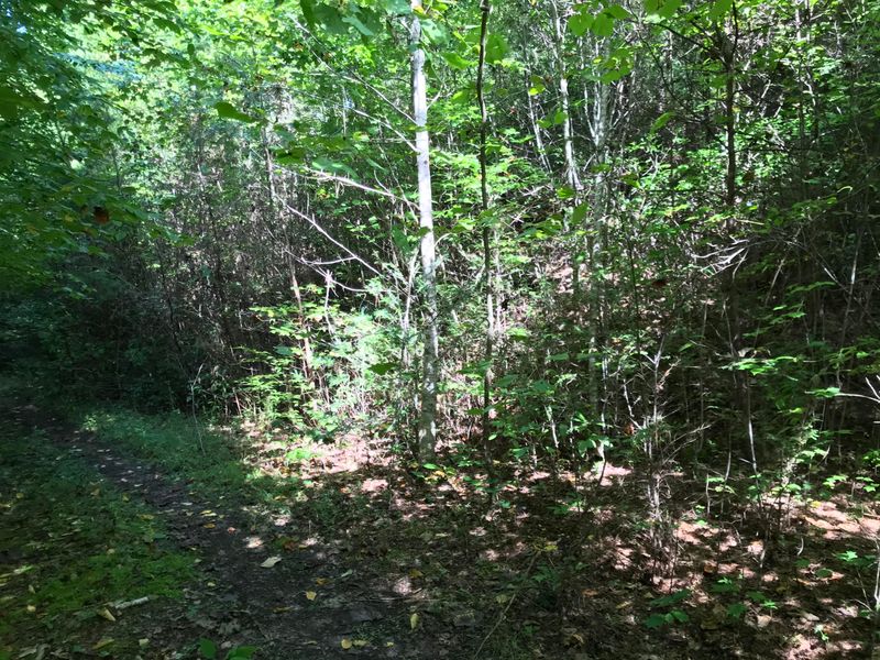 0 Coy Rhea Way, Sevierville, TN 37876