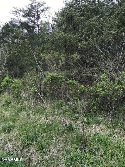 0 Coyote Cir, Vonore, TN 37885