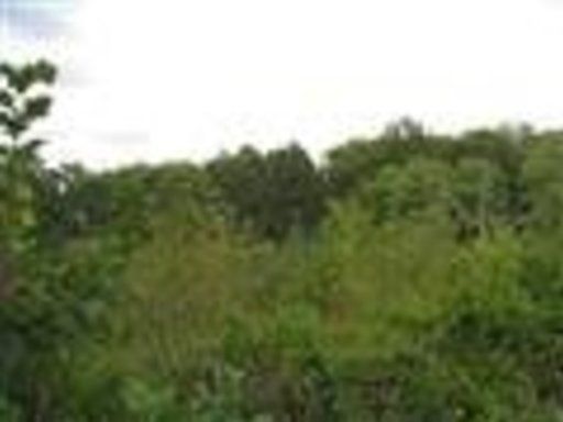 0 Cr 635, Athens, TN 37303