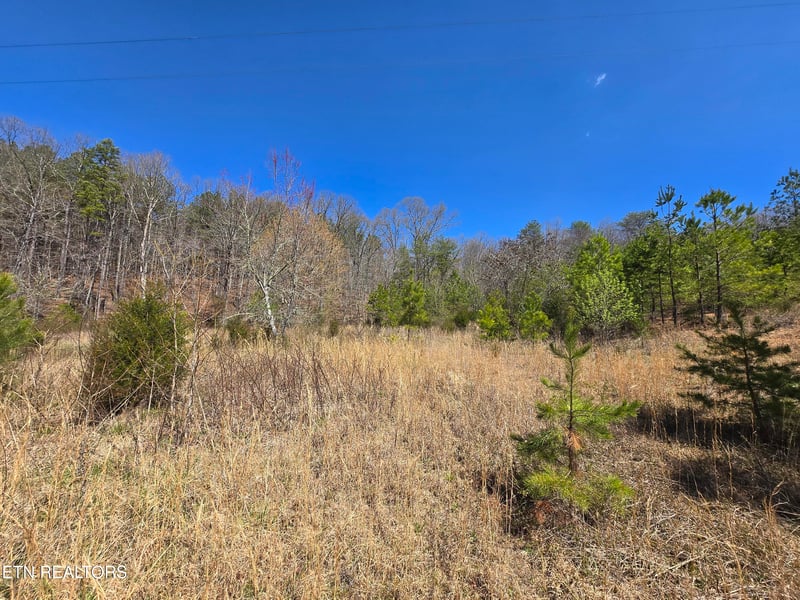 0 Crabtree Hollow Rd, Ten Mile, TN 37880