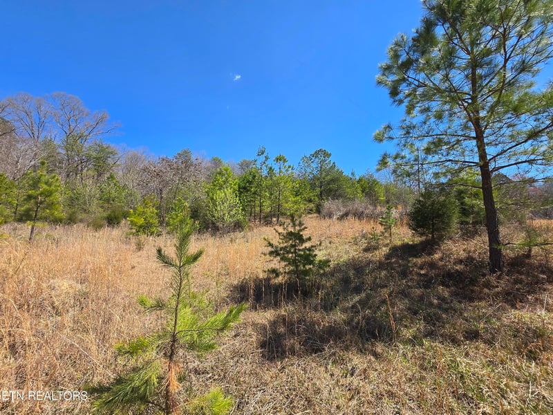 0 Crabtree Hollow Rd, Ten Mile, TN 37880