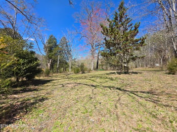 0 Crabtree Hollow Rd, Ten Mile, TN 37880