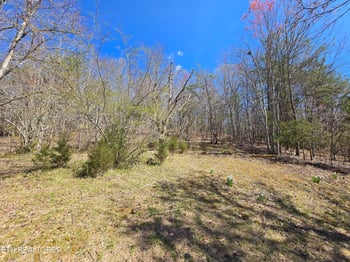 0 Crabtree Hollow Rd, Ten Mile, TN 37880