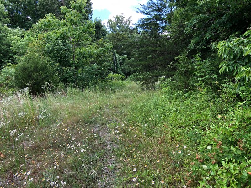 0 Crabtree Rd, Sharps Chapel, TN 37866