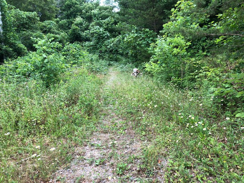 0 Crabtree Rd, Sharps Chapel, TN 37866