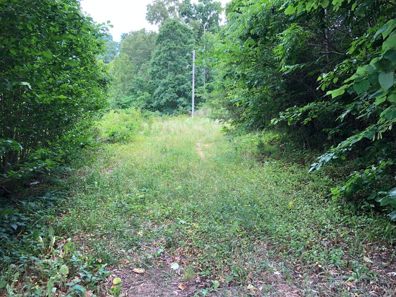 0 Crabtree Rd, Sharps Chapel, TN 37866