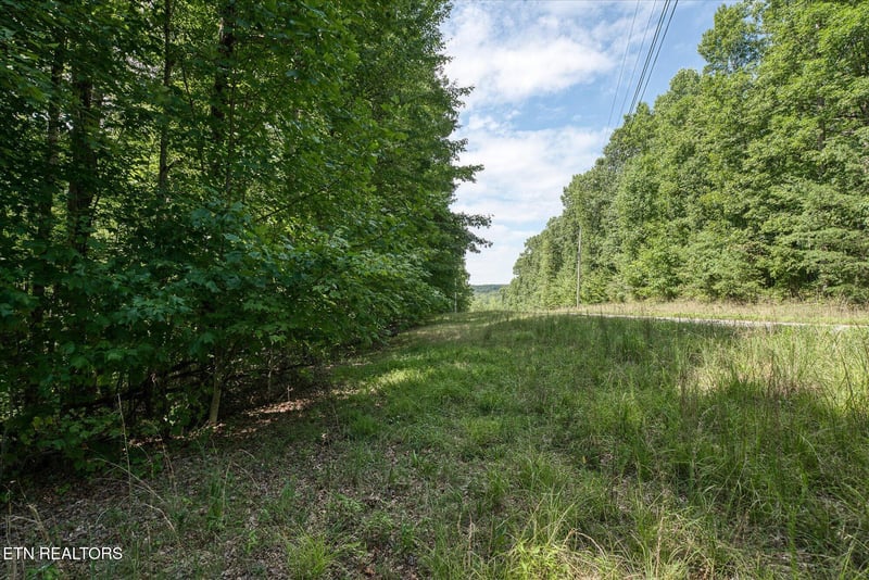 0 Creek Dr, Monterey, TN 38574