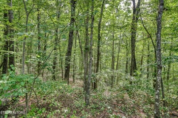 0 Creek Dr, Monterey, TN 38574