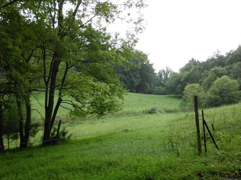 0 Creek Rd #2162-L, Reliance, TN 37369