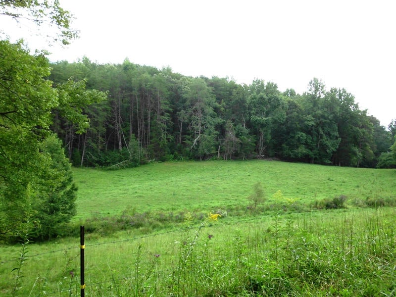 0 Creek Rd #2162-L, Reliance, TN 37369