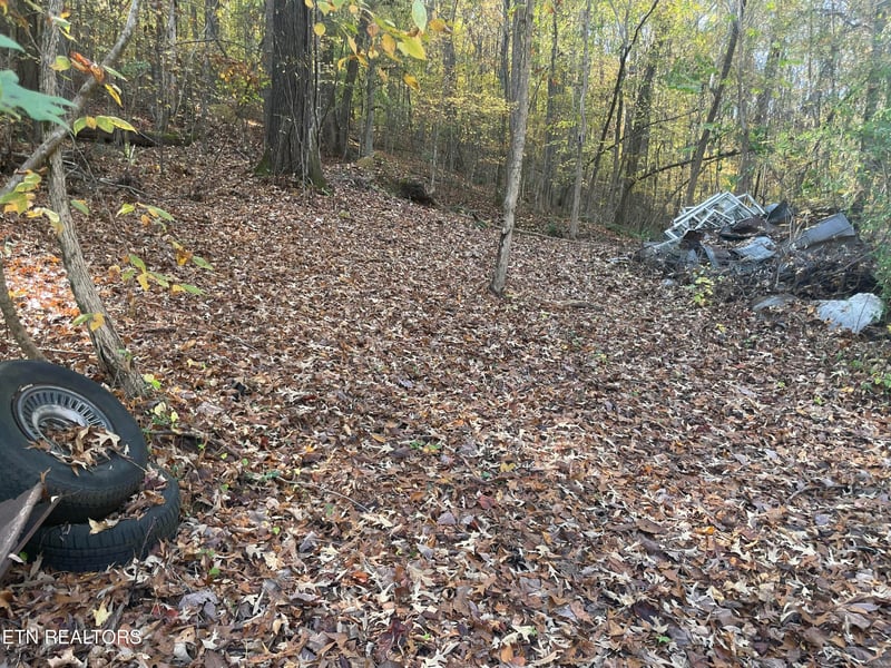 0 Creek Rd, Powell, TN 37849