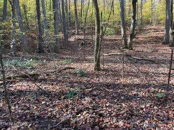 0 Creek Rd, Powell, TN 37849
