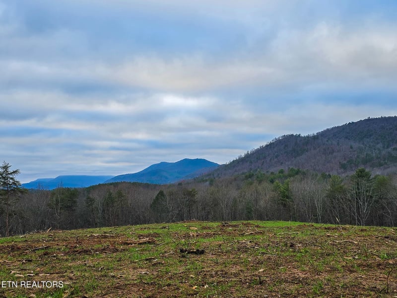 0 Creek Rd, Reliance, TN 37369