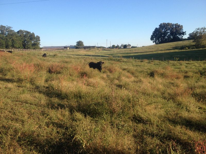0 Creek View Dr, Blaine, TN 37709