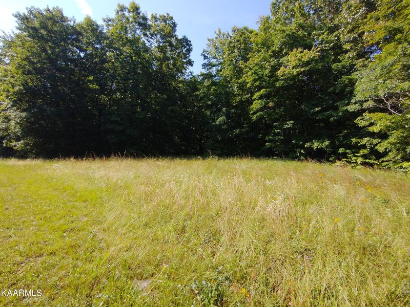 0 Crest View Dr Lot #6, Sunbright, TN 37872