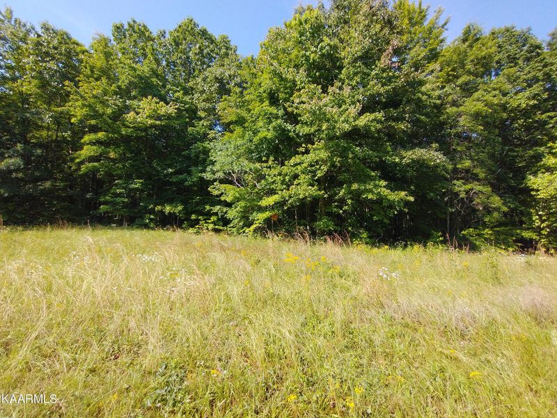 0 Crest View Dr Lot #6, Sunbright, TN 37872