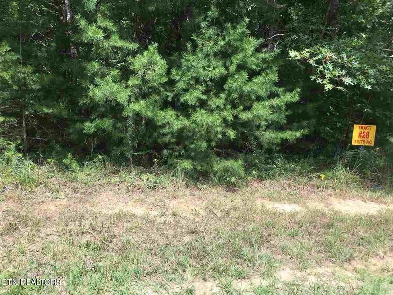0 Crest View Dr, Sunbright, TN 37872