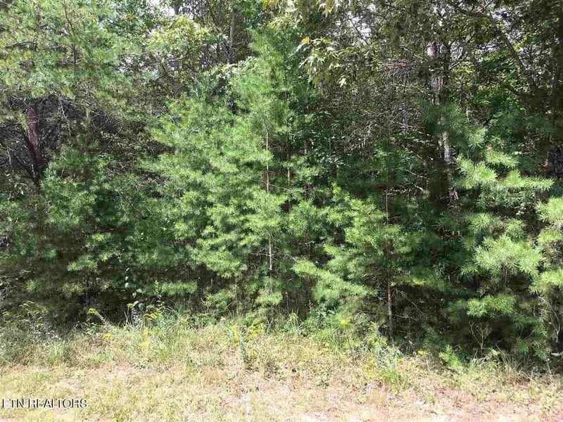0 Crest View Dr, Sunbright, TN 37872