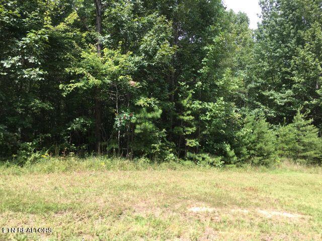 0 Crest View Dr, Sunbright, TN 37872