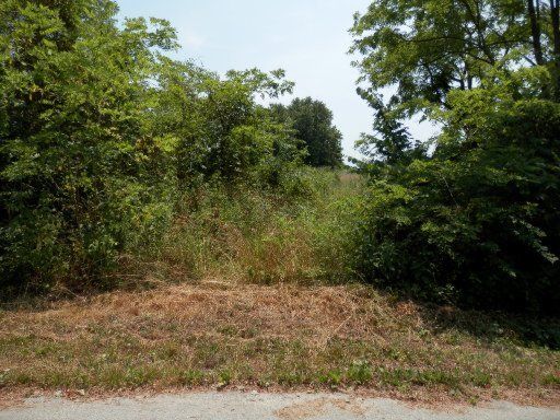 0 Crestview Ln, Jacksboro, TN 37757