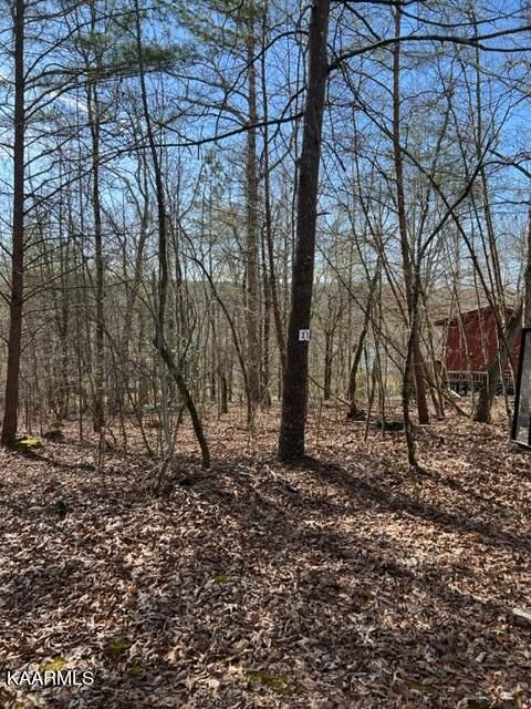 0 Crosswinds Rd, Ten Mile, TN 37880