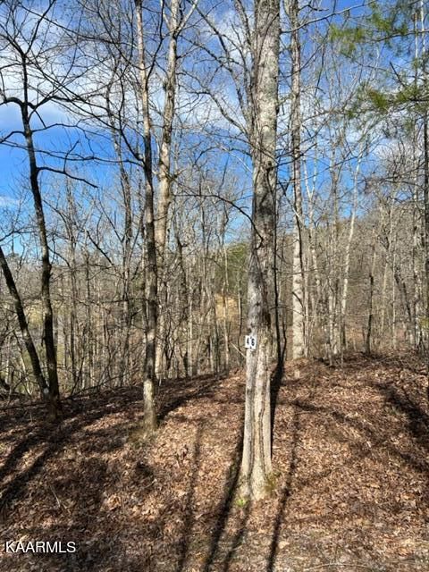 0 Crosswinds Rd, Ten Mile, TN 37880