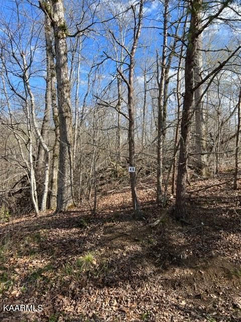 0 Crosswinds Rd, Ten Mile, TN 37880