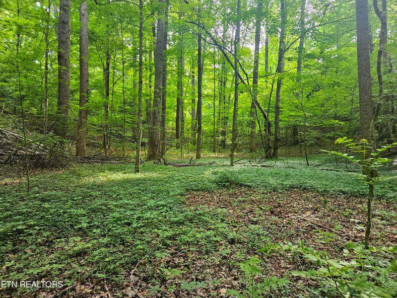 0 Cruze Rd, Powell, TN 37849