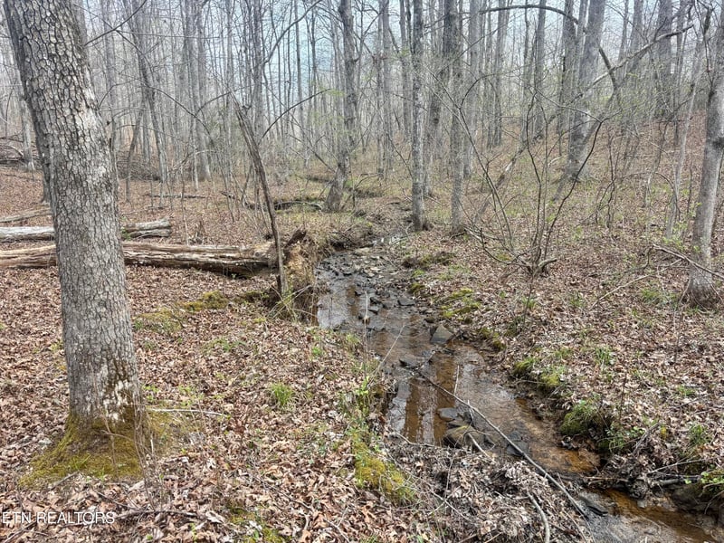 0 Crystal Point, Monterey, TN 38574