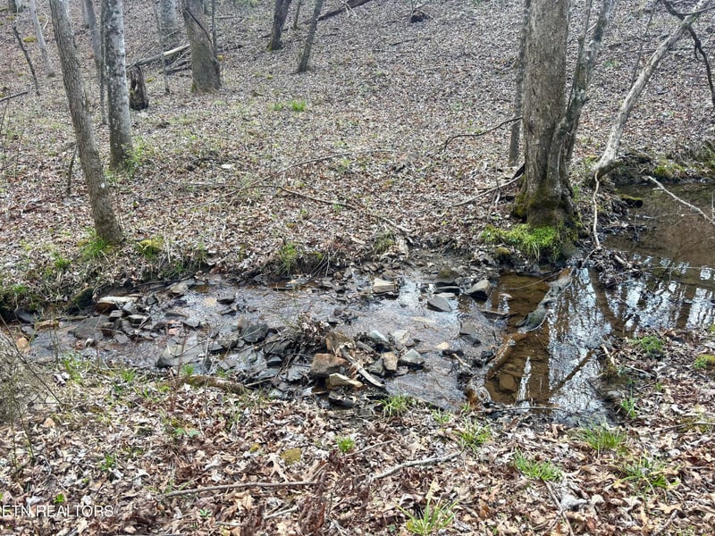 0 Crystal Point, Monterey, TN 38574
