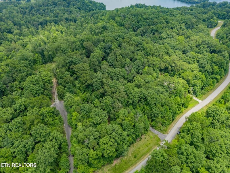 0 Crystal Springs Rd, Rockwood, TN 37854