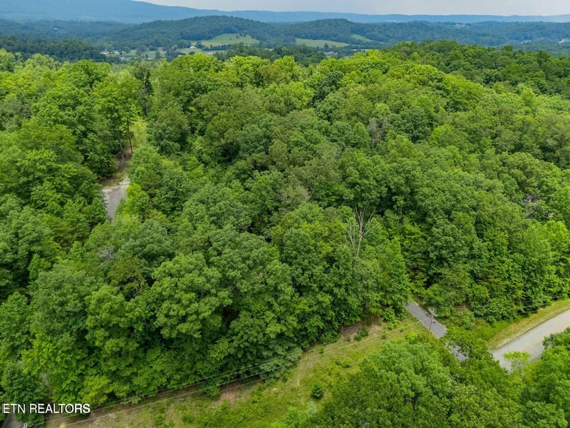 0 Crystal Springs Rd, Rockwood, TN 37854