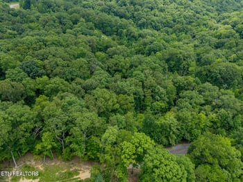 0 Crystal Springs Rd, Rockwood, TN 37854