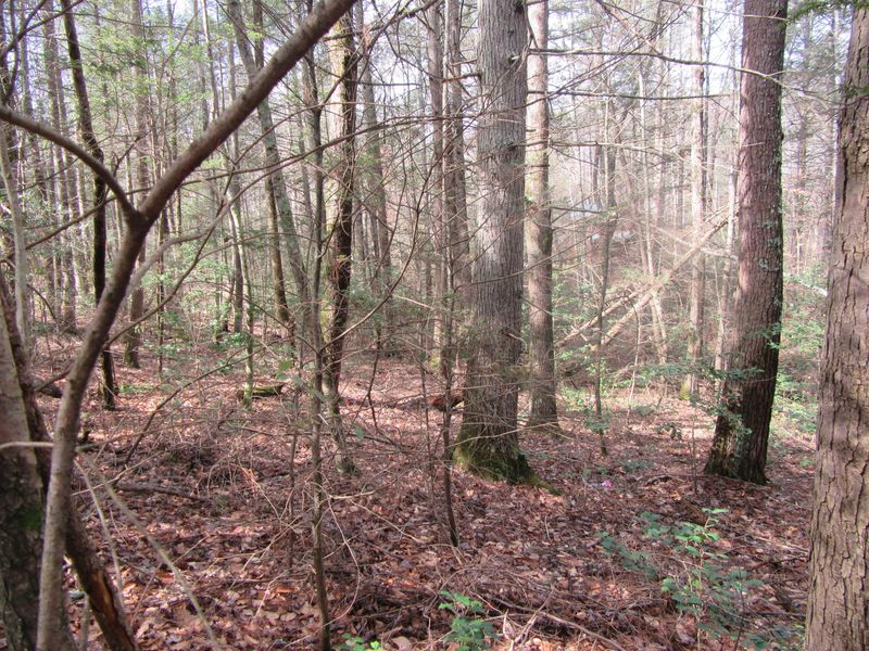 0 Cub Cir, Sevierville, TN 37862