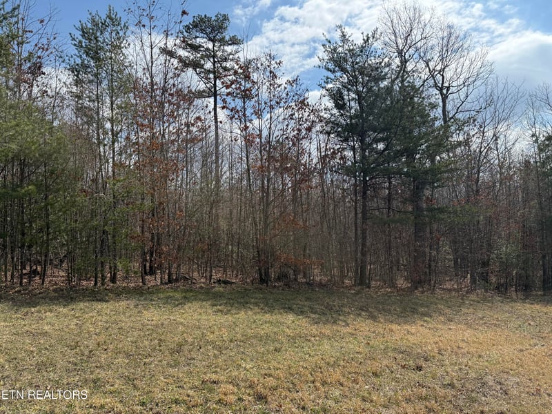 0 Cumberland Lakes Dr #201, Monterey, TN 38574