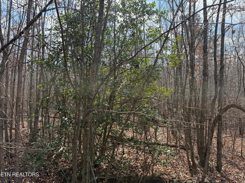 0 Cumberland Lakes Dr #201, Monterey, TN 38574