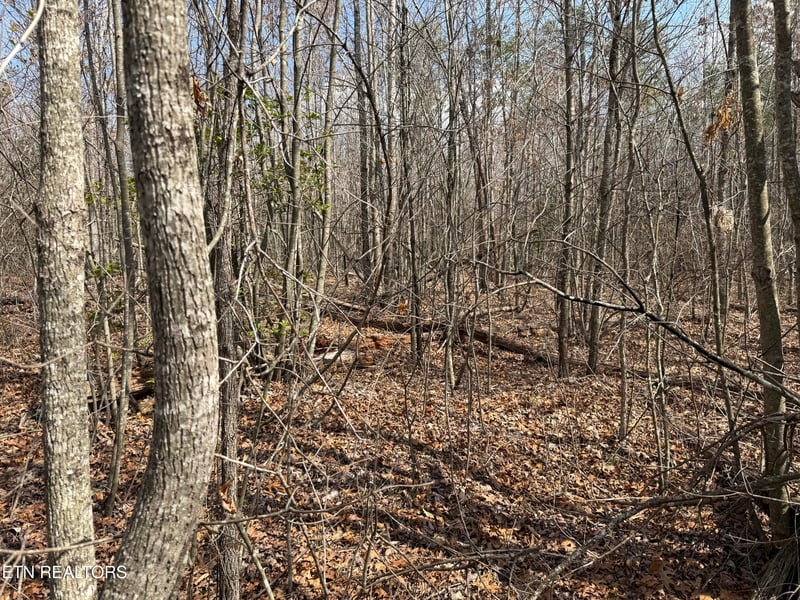 0 Cumberland Lakes Dr #201, Monterey, TN 38574