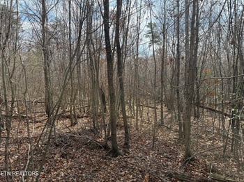 0 Cumberland Lakes Dr #201, Monterey, TN 38574