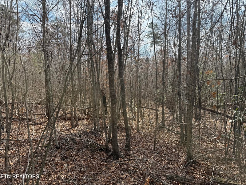 0 Cumberland Lakes Dr #201, Monterey, TN 38574