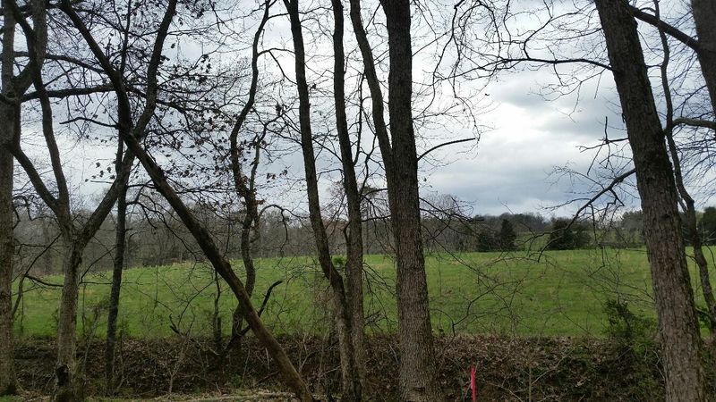 0 Cupp Rd, Rutledge, TN 37861
