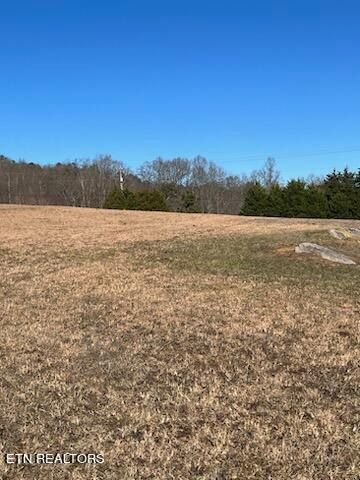 0 Curley Ln, Seymour, TN 37865