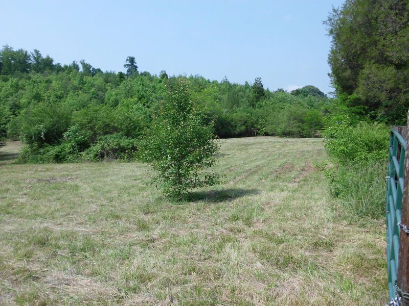 0 Curtis Rd #1948-L, Tellico Plains, TN 37385