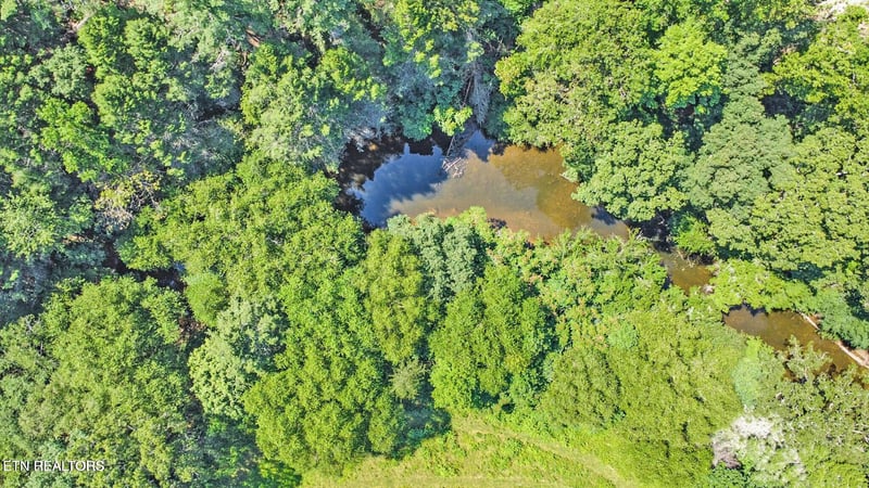 0 Daddys Creek Tr, Crab Orchard, TN 37723